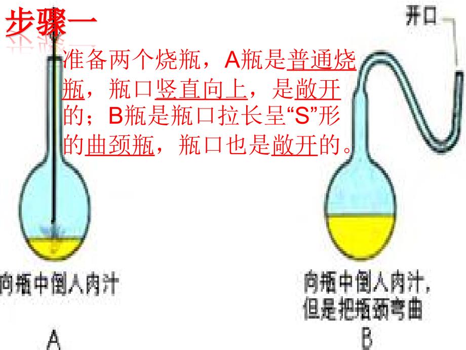 济南版七年级上册生物学生物学的探究方法课件(精华)_第4页