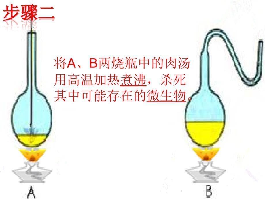 济南版七年级上册生物学生物学的探究方法课件(精华)_第5页