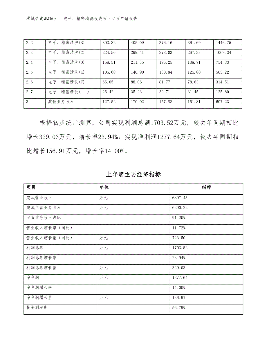 电子、精密清洗投资项目立项申请报告（总投资4000万元）.docx_第3页