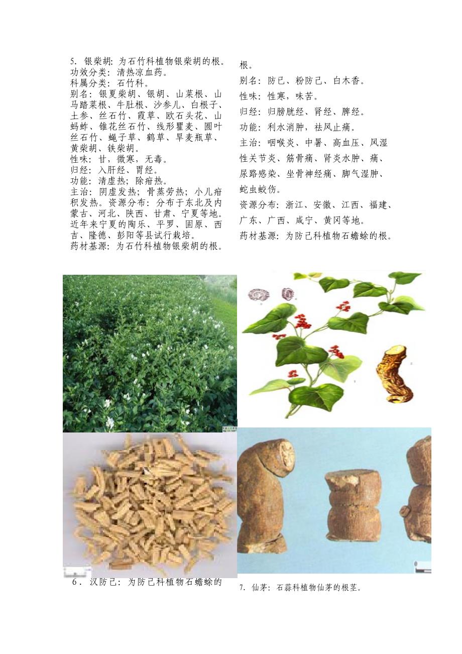 175种常用中药大全有彩图1)1-34资料_第3页