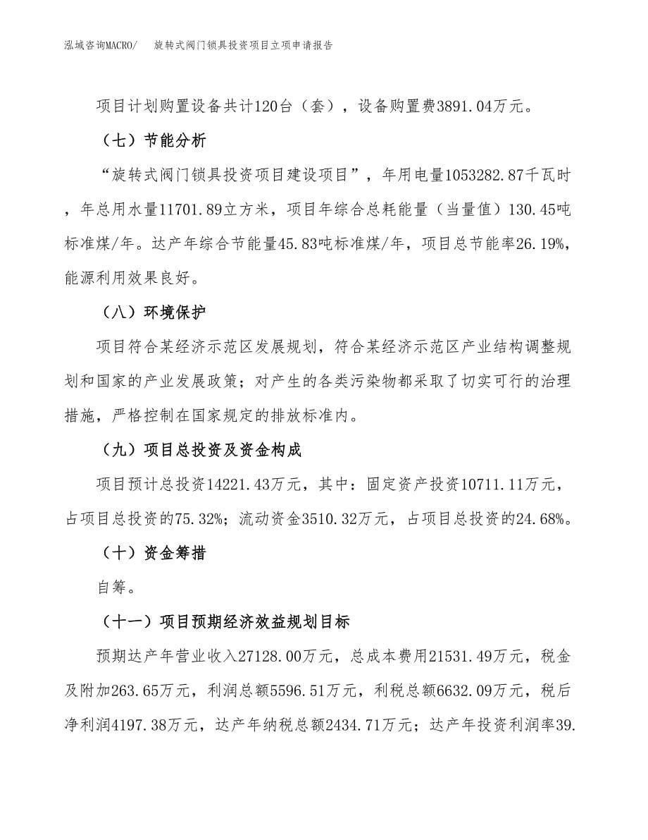 旋转式阀门锁具投资项目立项申请报告（总投资14000万元）.docx_第5页