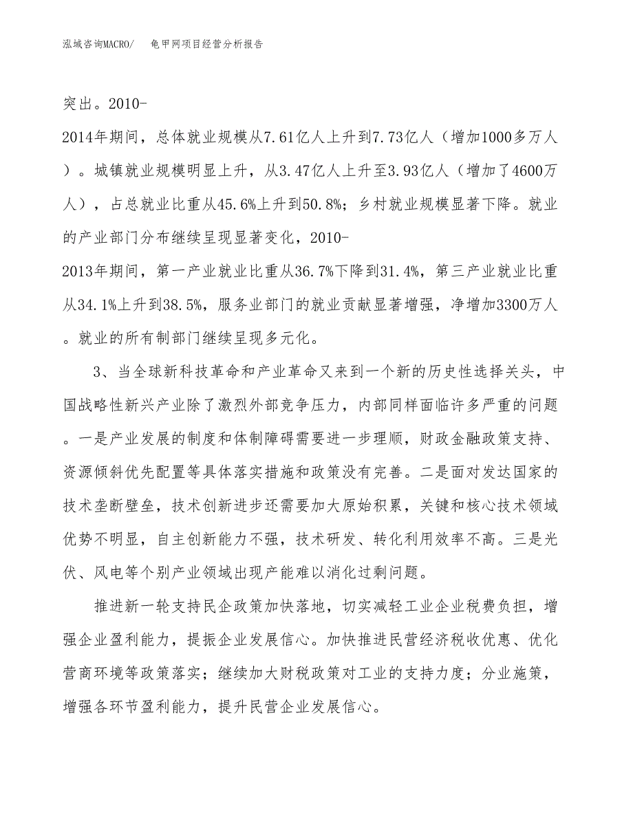 龟甲网项目经营分析报告（总投资16000万元）.docx_第3页