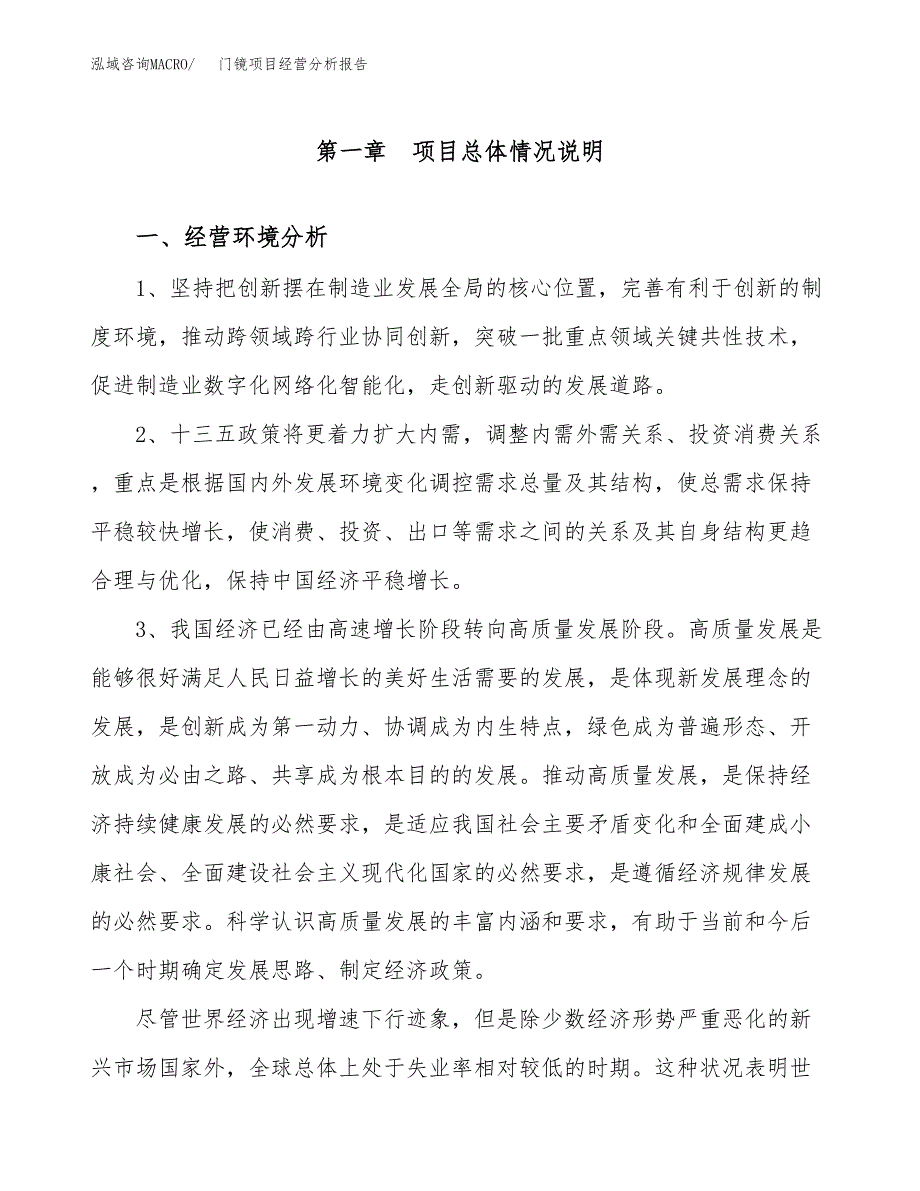 门镜项目经营分析报告（总投资19000万元）.docx_第2页