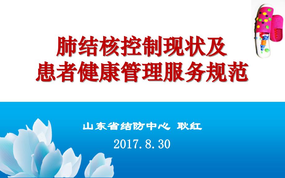 2017结核病流行及防控现状及基层服务资料_第1页