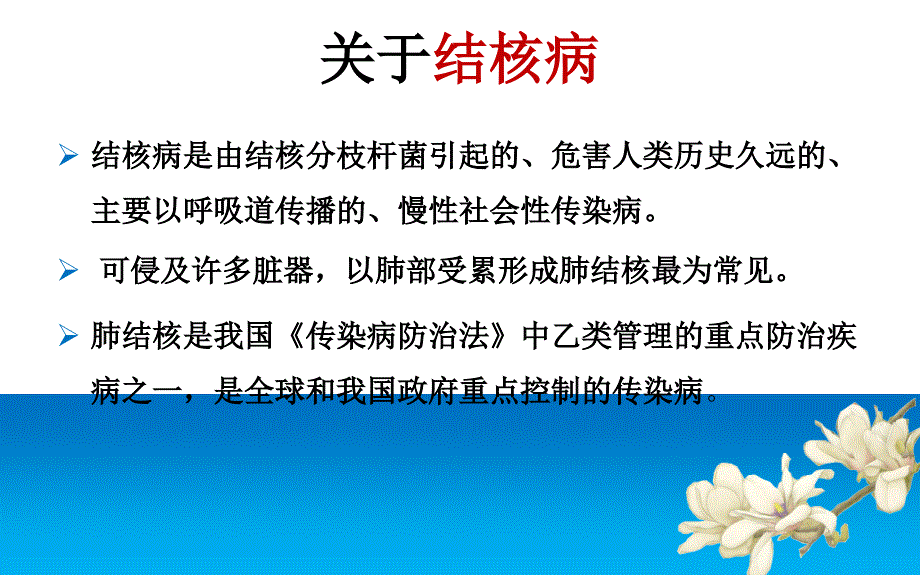 2017结核病流行及防控现状及基层服务资料_第4页