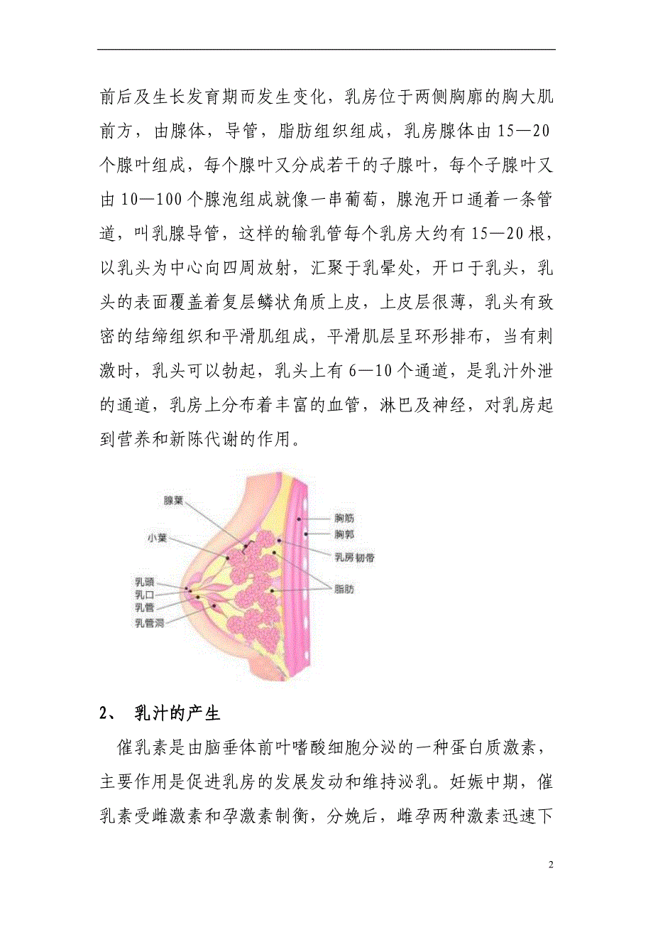 催乳师培训材料.doc_第2页