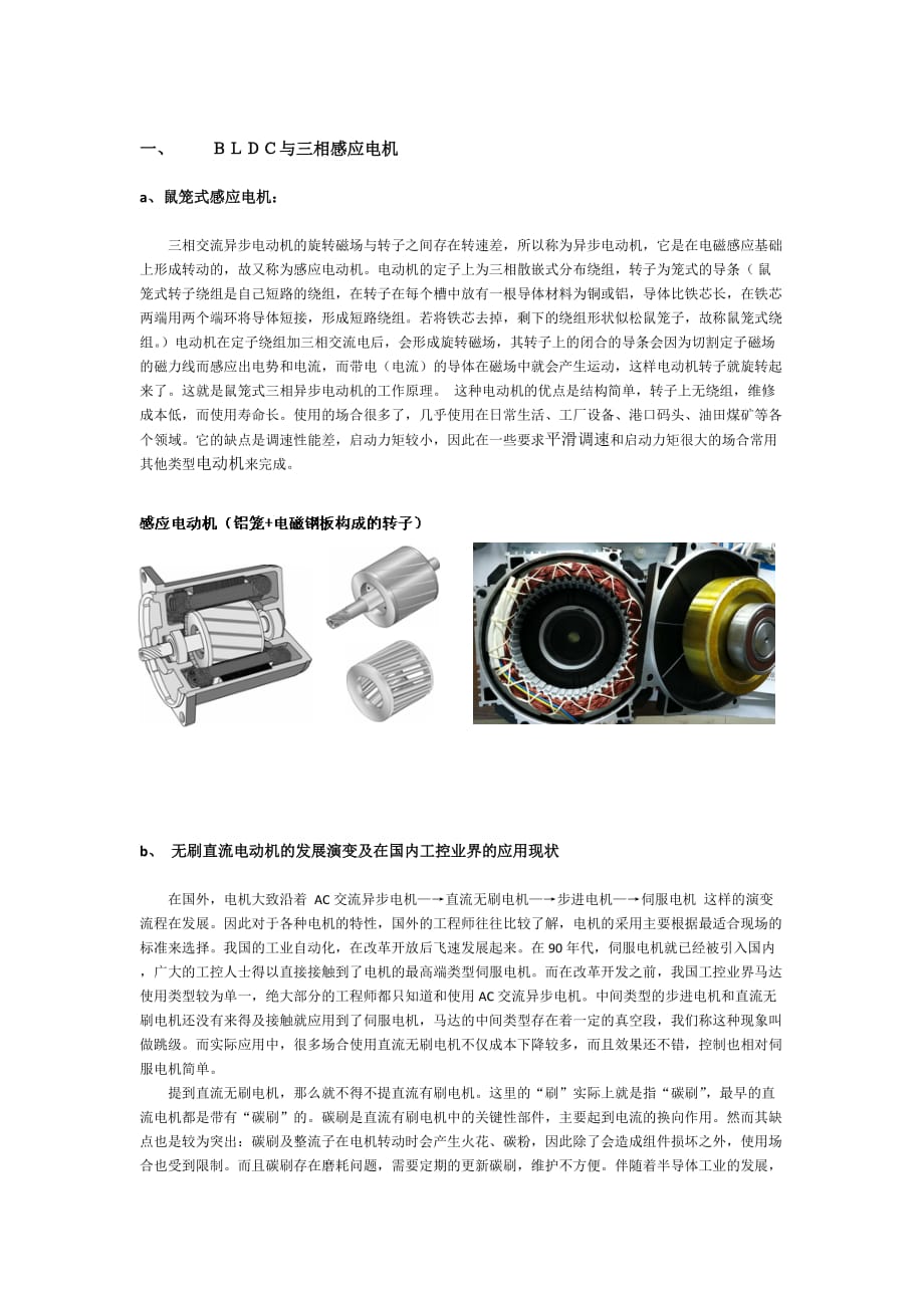 使用bldc替代三相感应电机评估方案.doc_第1页