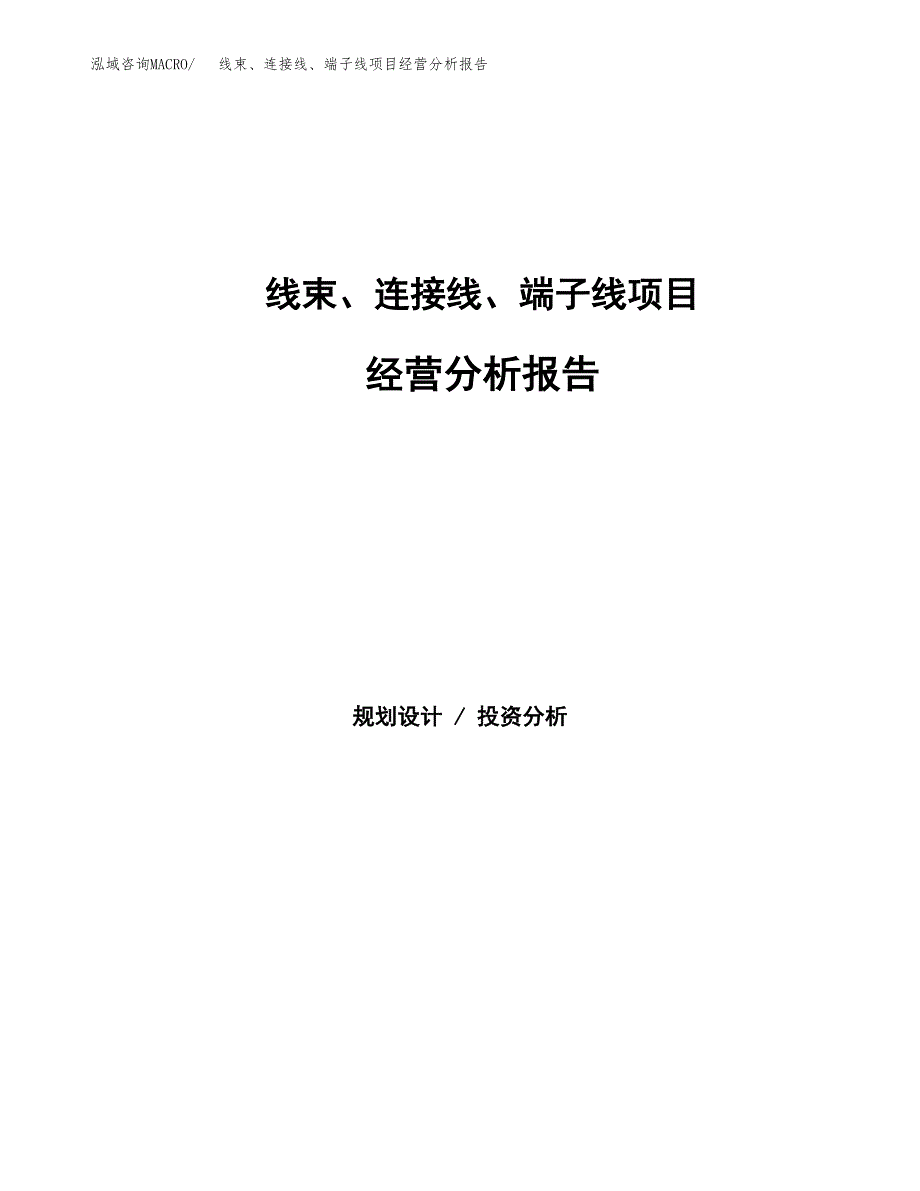 线束、连接线、端子线项目经营分析报告（总投资10000万元）.docx_第1页