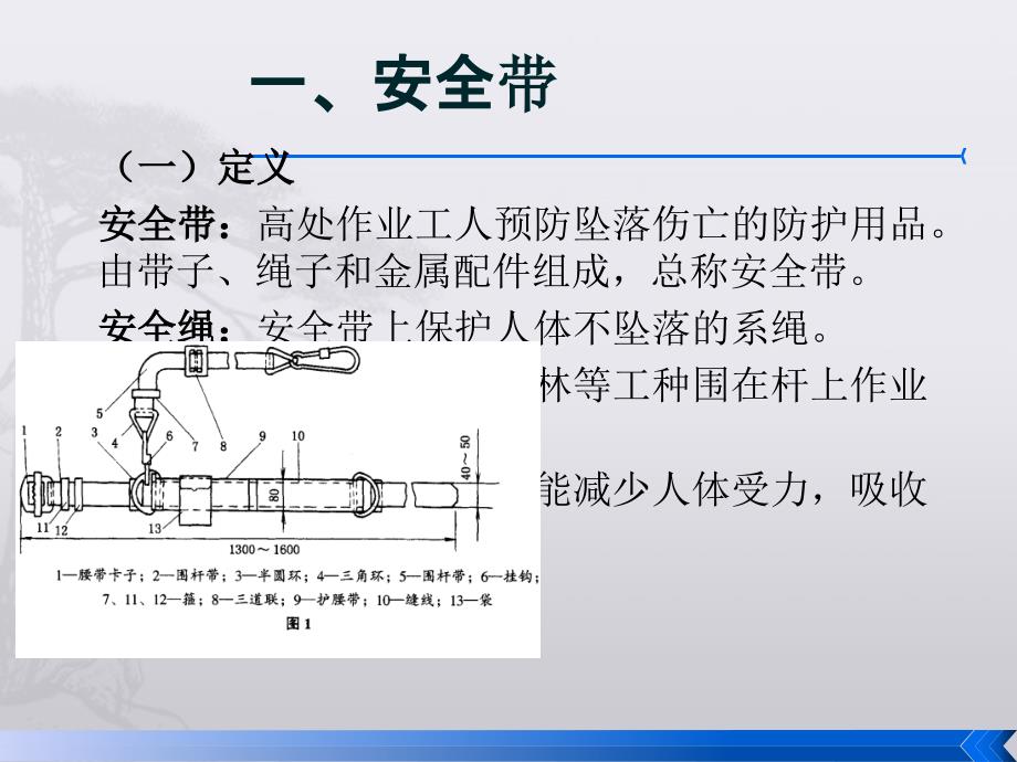 第七节：登杆培训材料_第2页