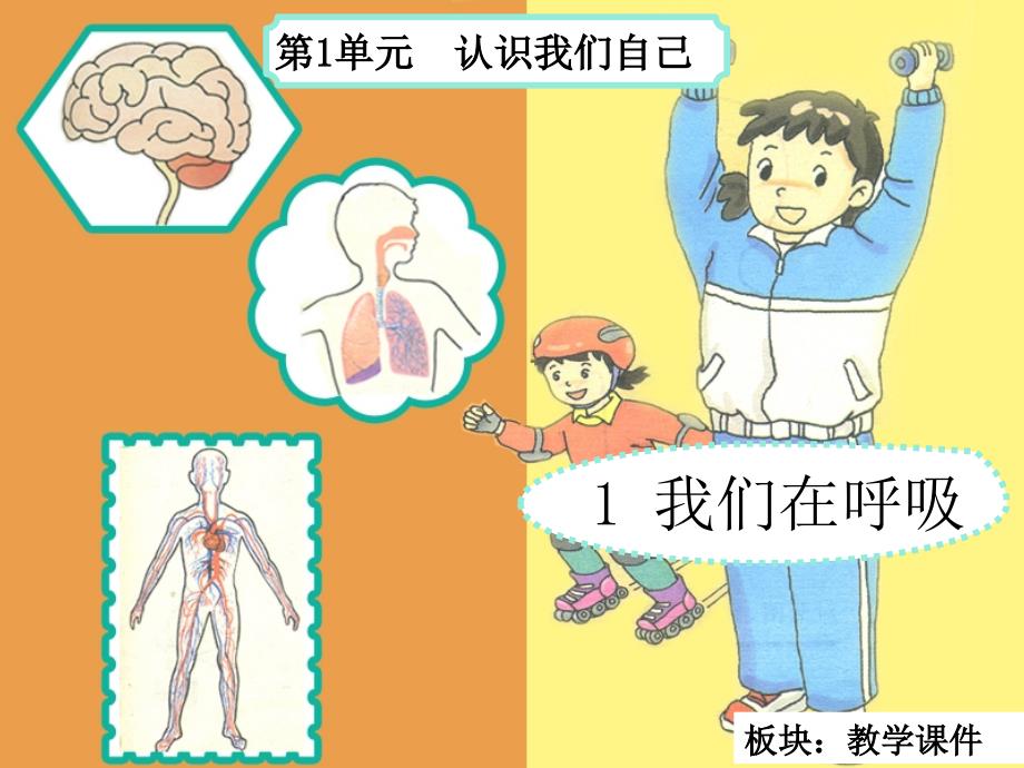 五年级上册科学课件－1.1我们在呼吸 ｜湘科版（一起）  (共12张PPT)_第2页