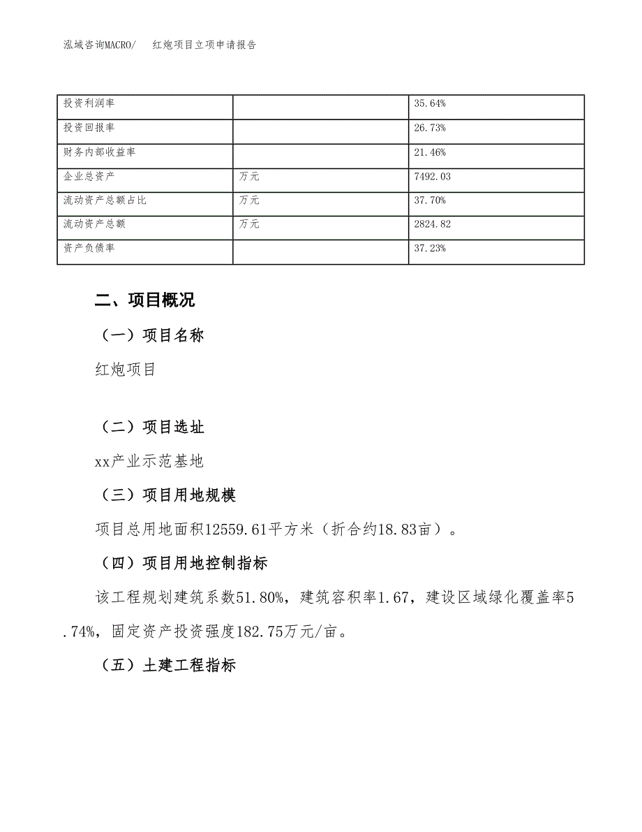 红炮项目立项申请报告（总投资4000万元）_第4页