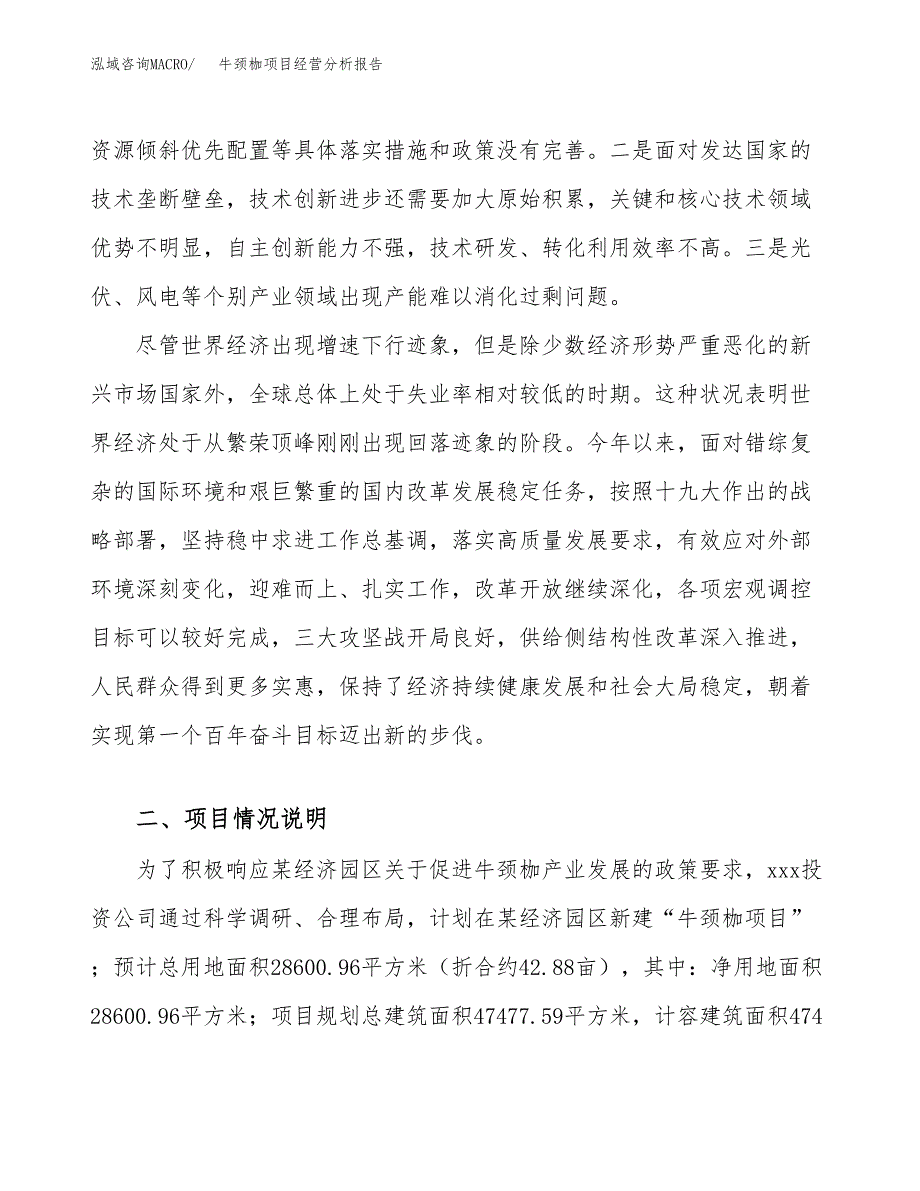 牛颈枷项目经营分析报告（总投资10000万元）.docx_第3页