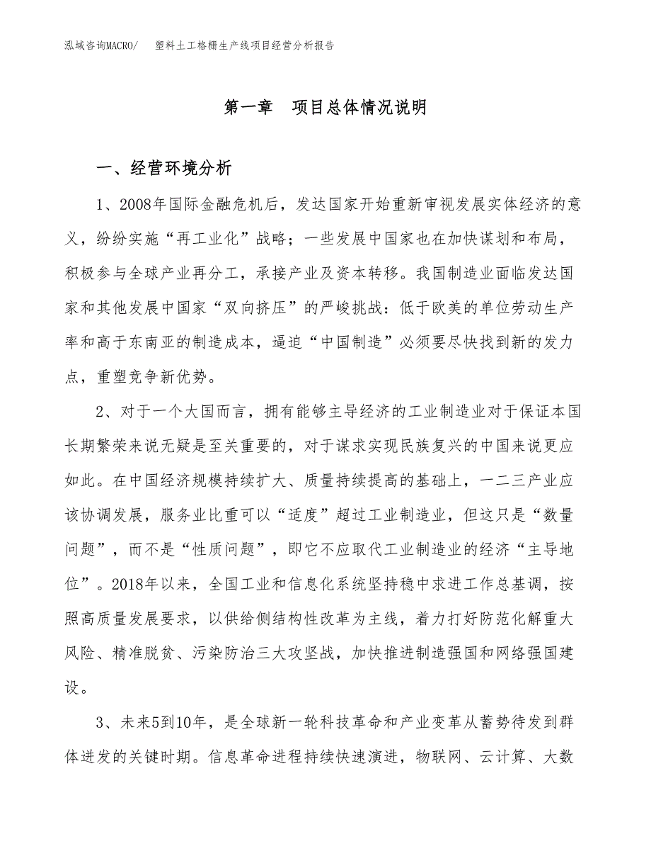 塑料土工格栅生产线项目经营分析报告（总投资20000万元）.docx_第2页