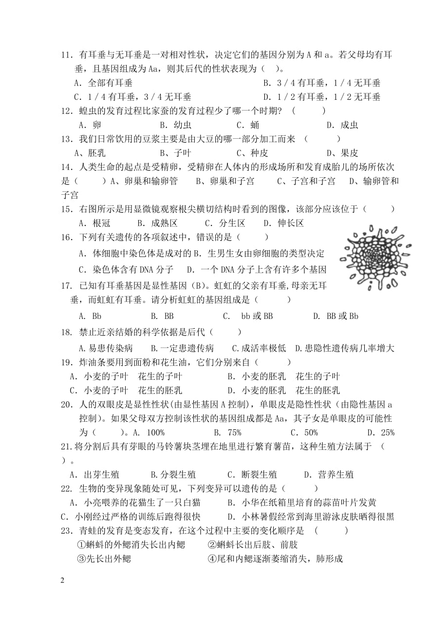 八年级下学期期末复习质量检测(二)_第2页