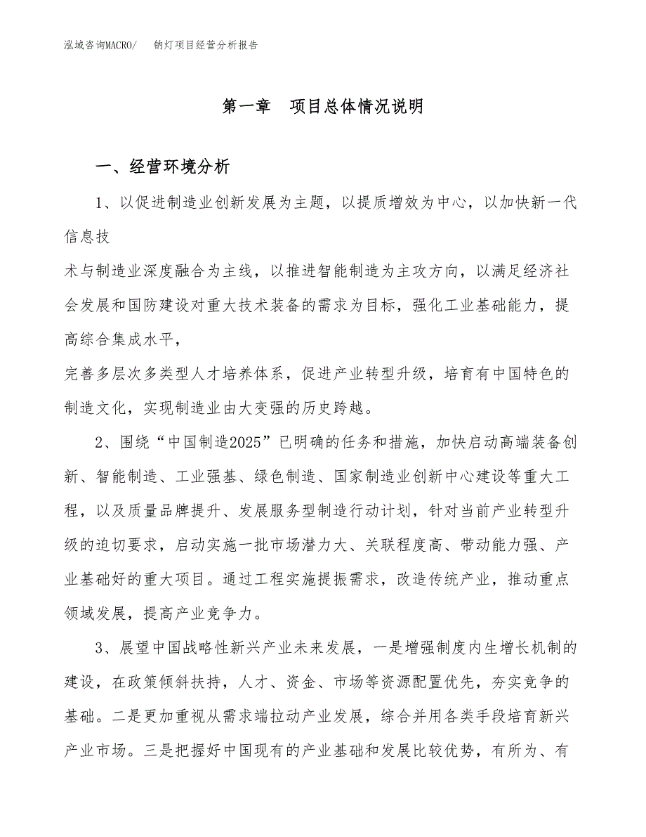 钠灯项目经营分析报告（总投资11000万元）.docx_第2页