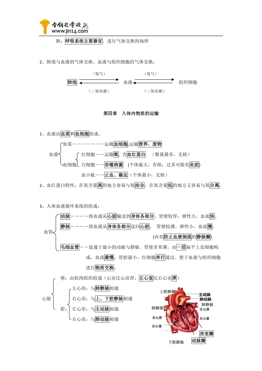 初一生物下册期末考试复习提纲_第3页