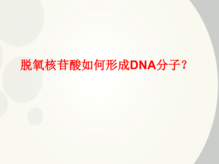 dna分子的结构优质课_第4页