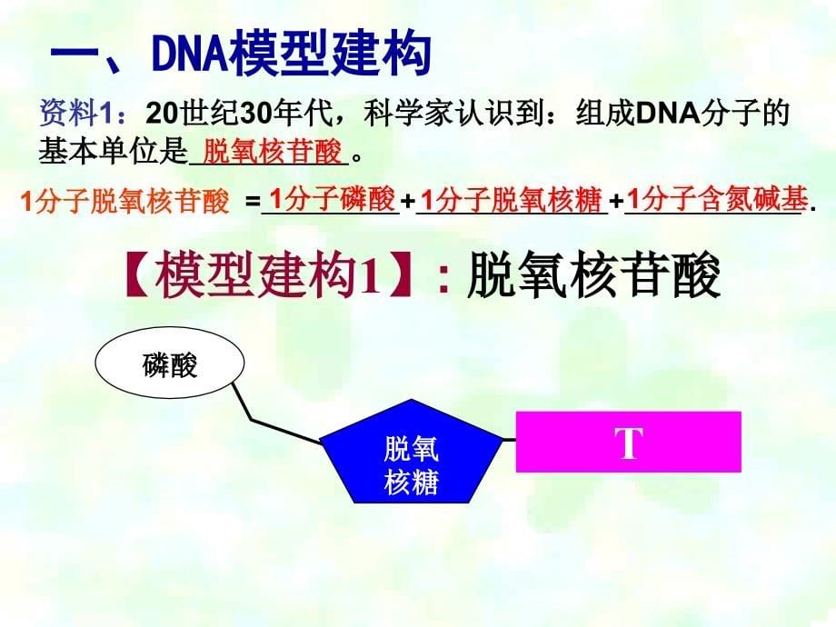 dna分子的结构优质课_第5页