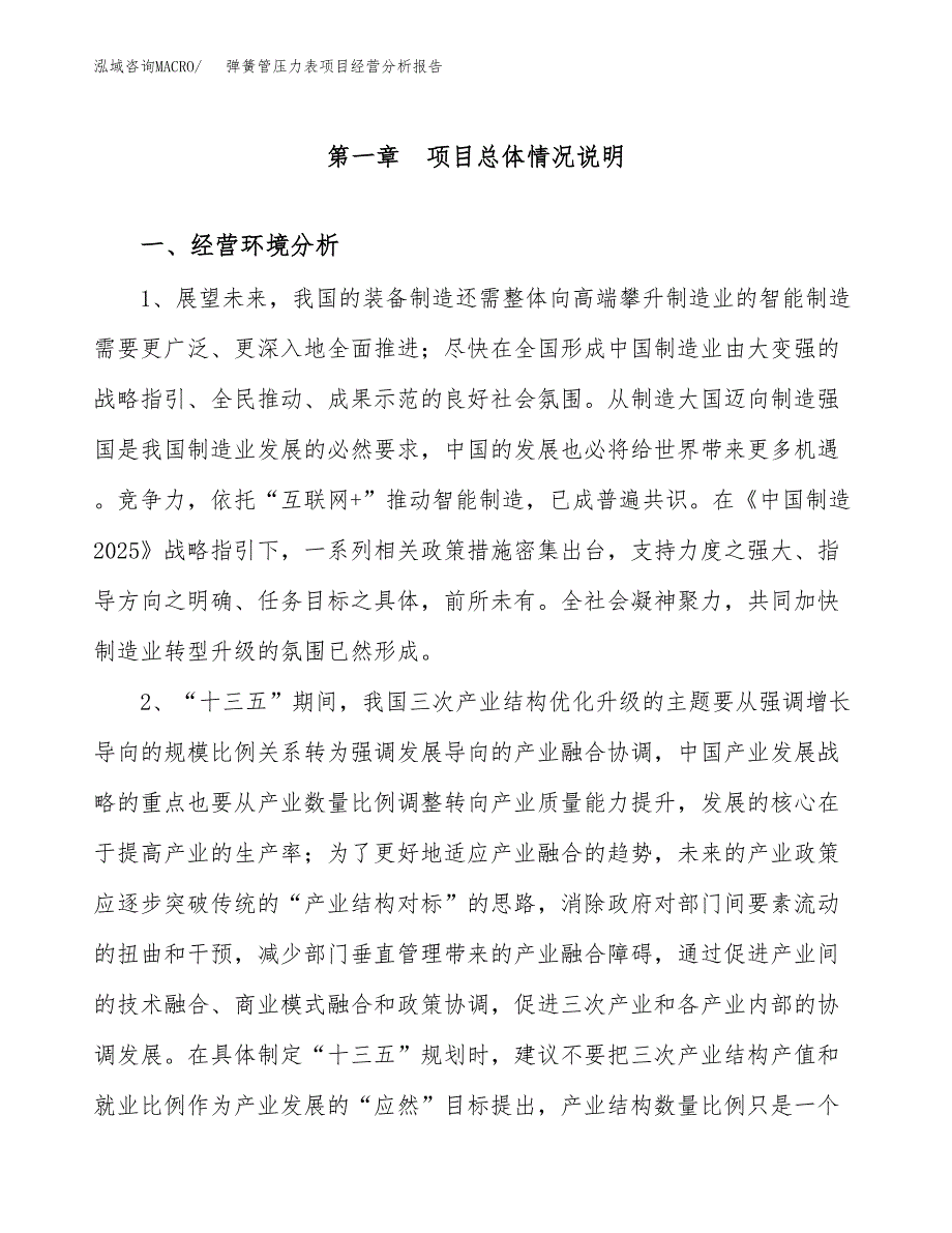 弹簧管压力表项目经营分析报告（总投资13000万元）.docx_第2页