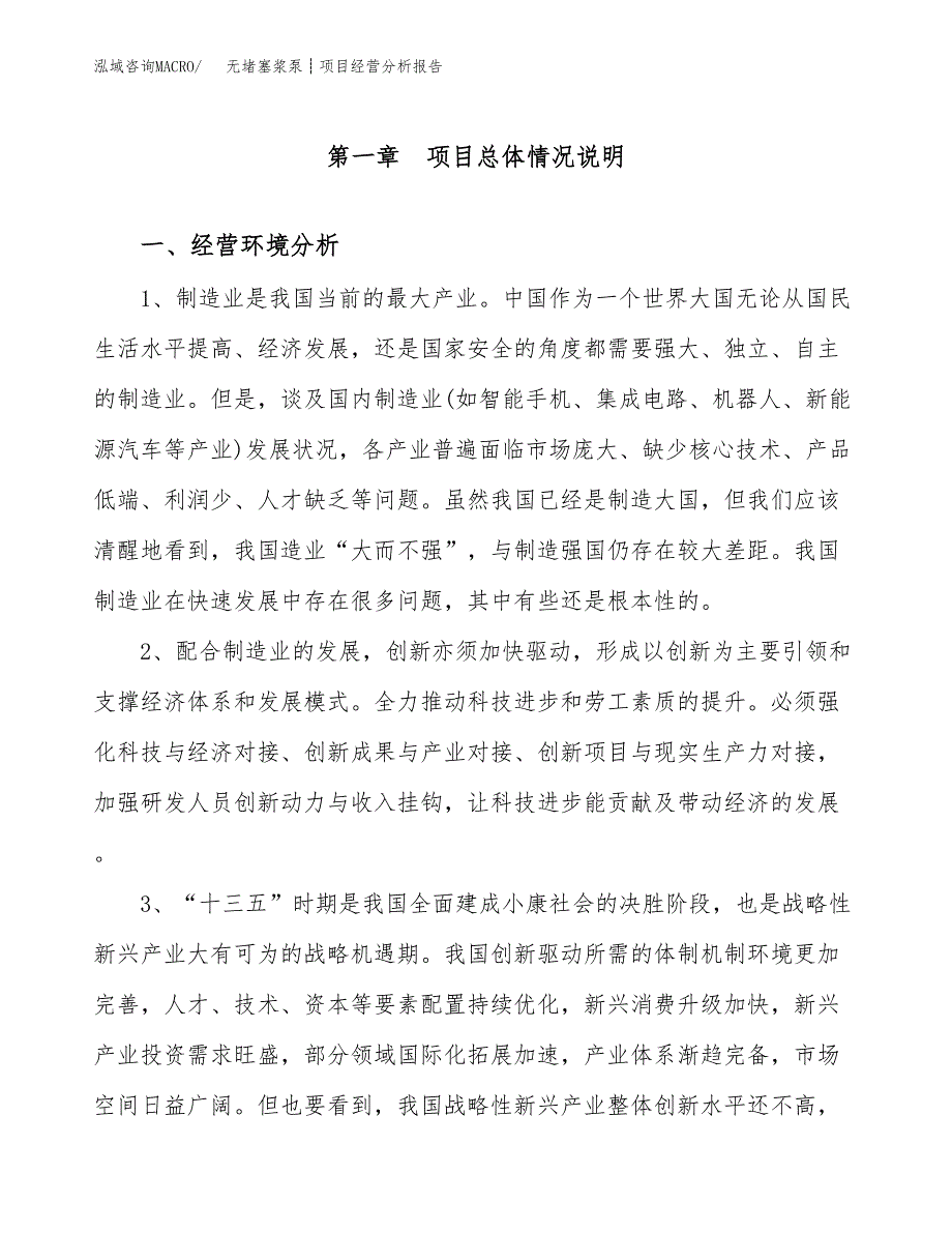 无堵塞浆泵┊项目经营分析报告（总投资13000万元）.docx_第2页