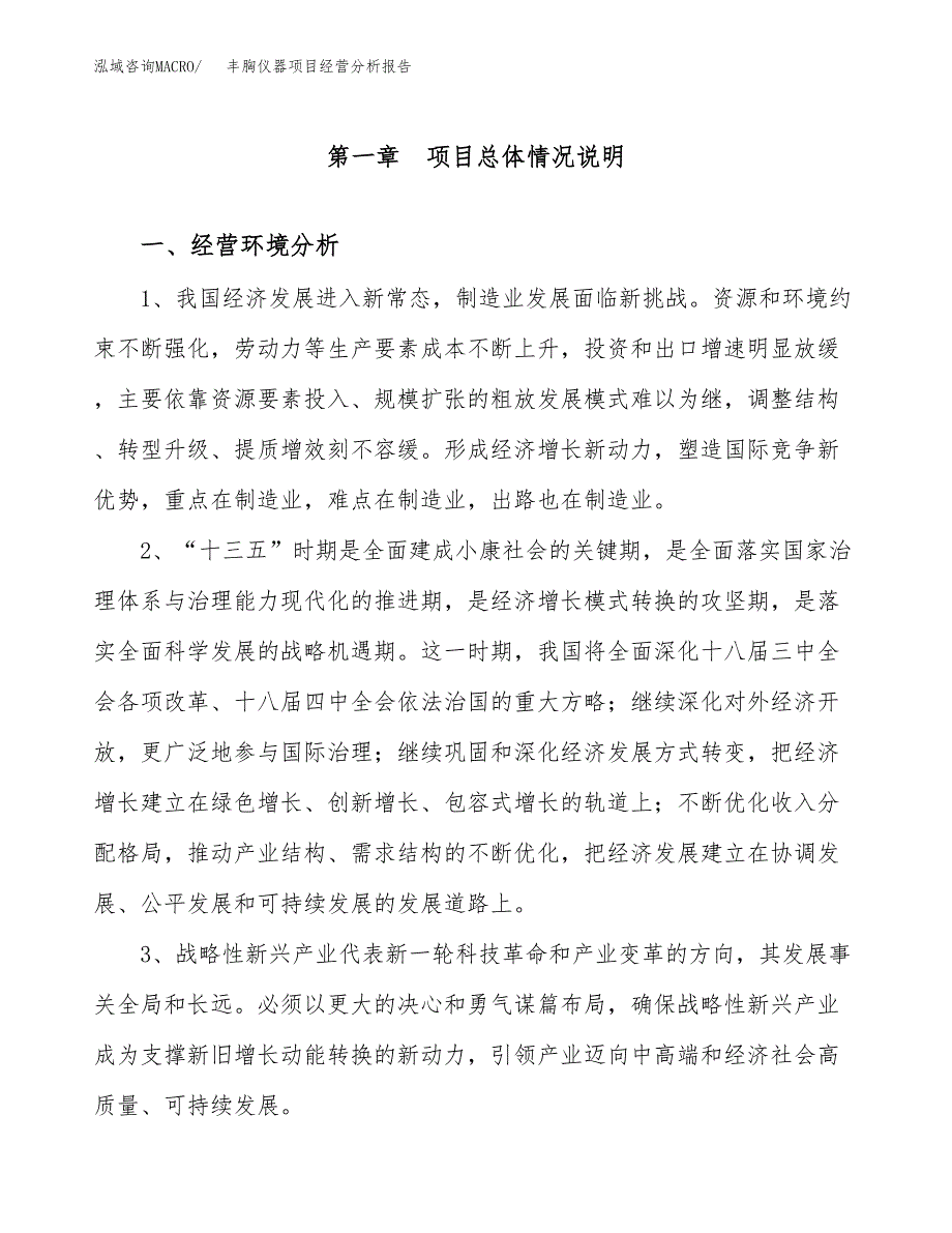 丰胸仪器项目经营分析报告（总投资19000万元）.docx_第2页