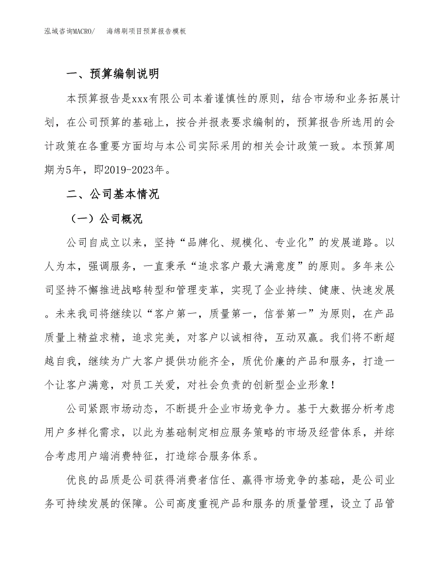 海绵刷项目预算报告模板.docx_第2页