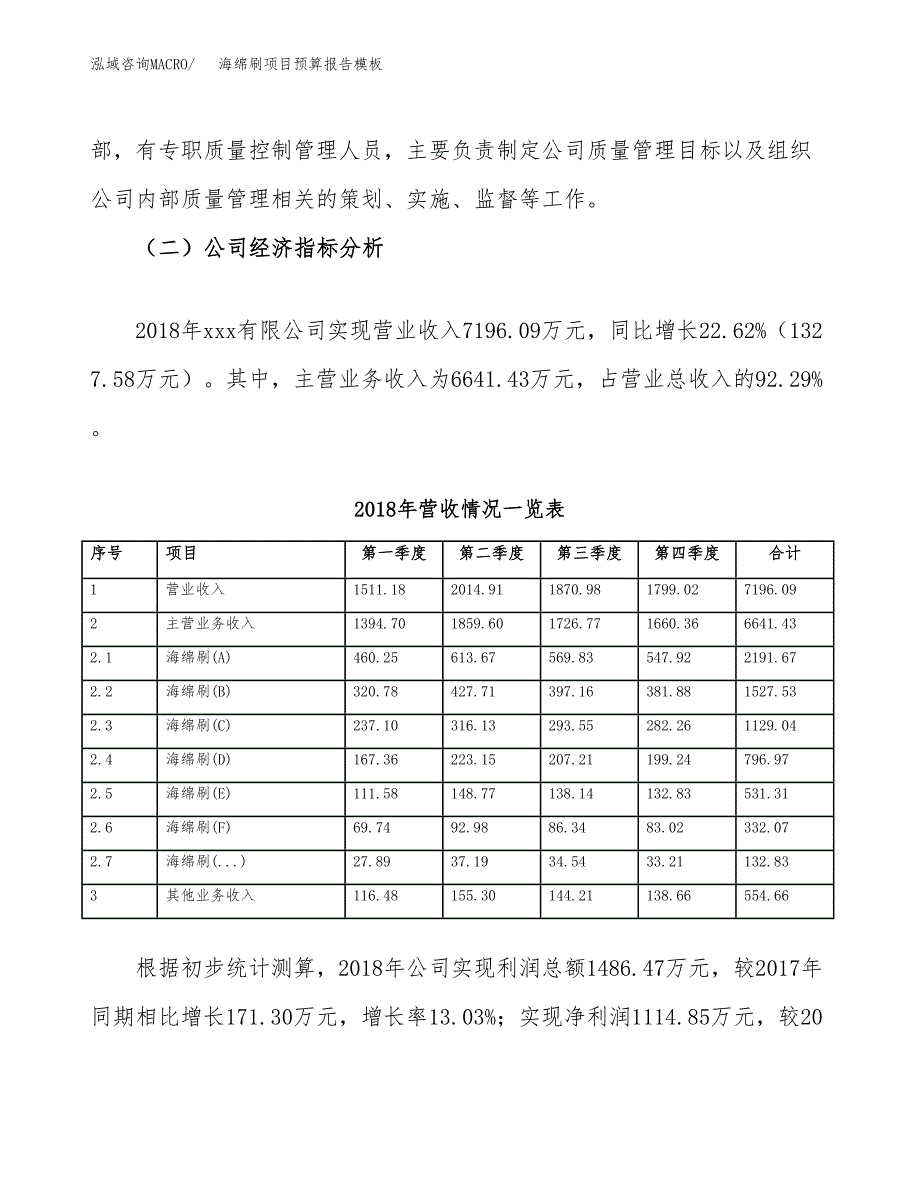 海绵刷项目预算报告模板.docx_第3页