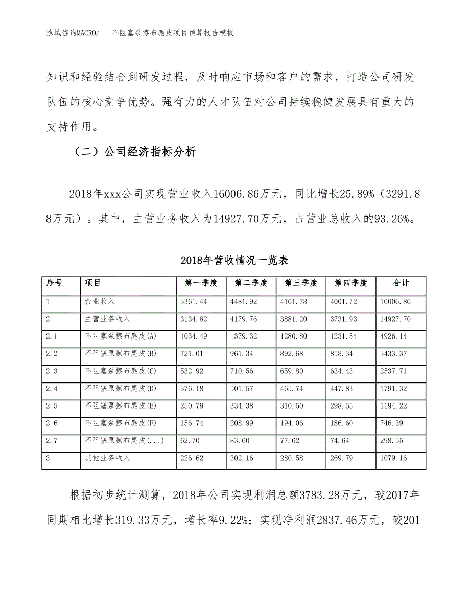 不阻塞泵擦布麂皮项目预算报告模板.docx_第3页