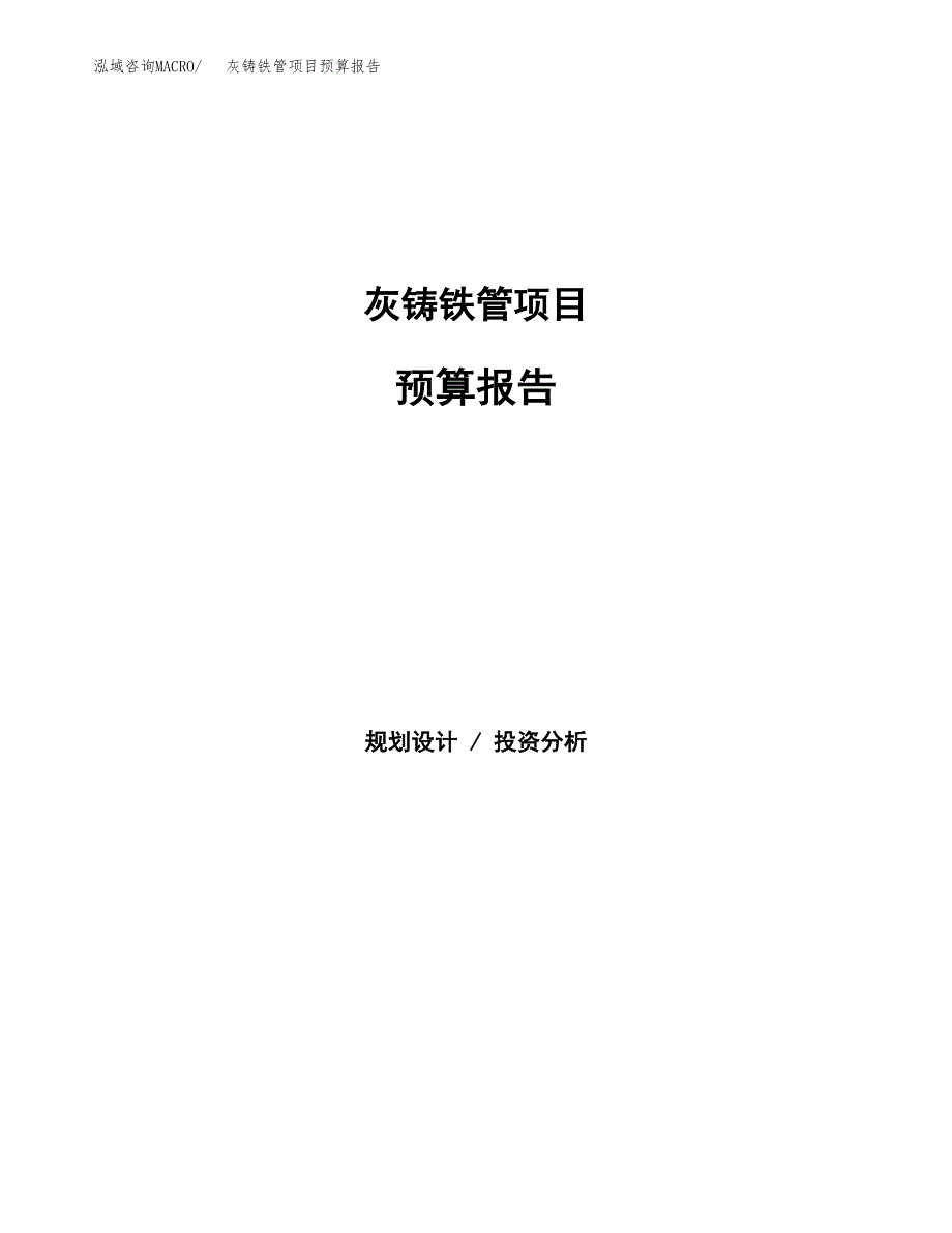 灰铸铁管项目预算报告（总投资9000万元）.docx_第1页