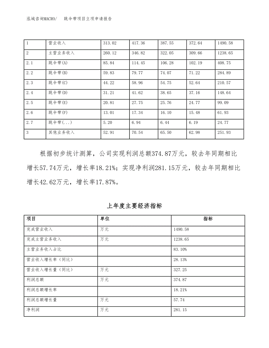 跳伞带项目立项申请报告（总投资2000万元）_第3页