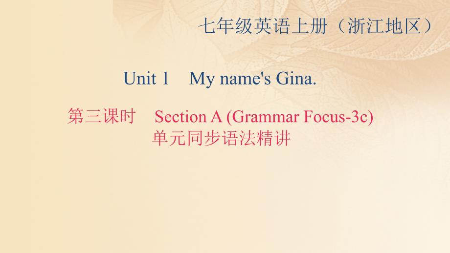 （浙江专用）2017-2018学年七年级英语上册 unit 1 my name&#039;s gina（第3课时）section a(grammar focus-3c)课件 （新版）人教新目标版_第1页