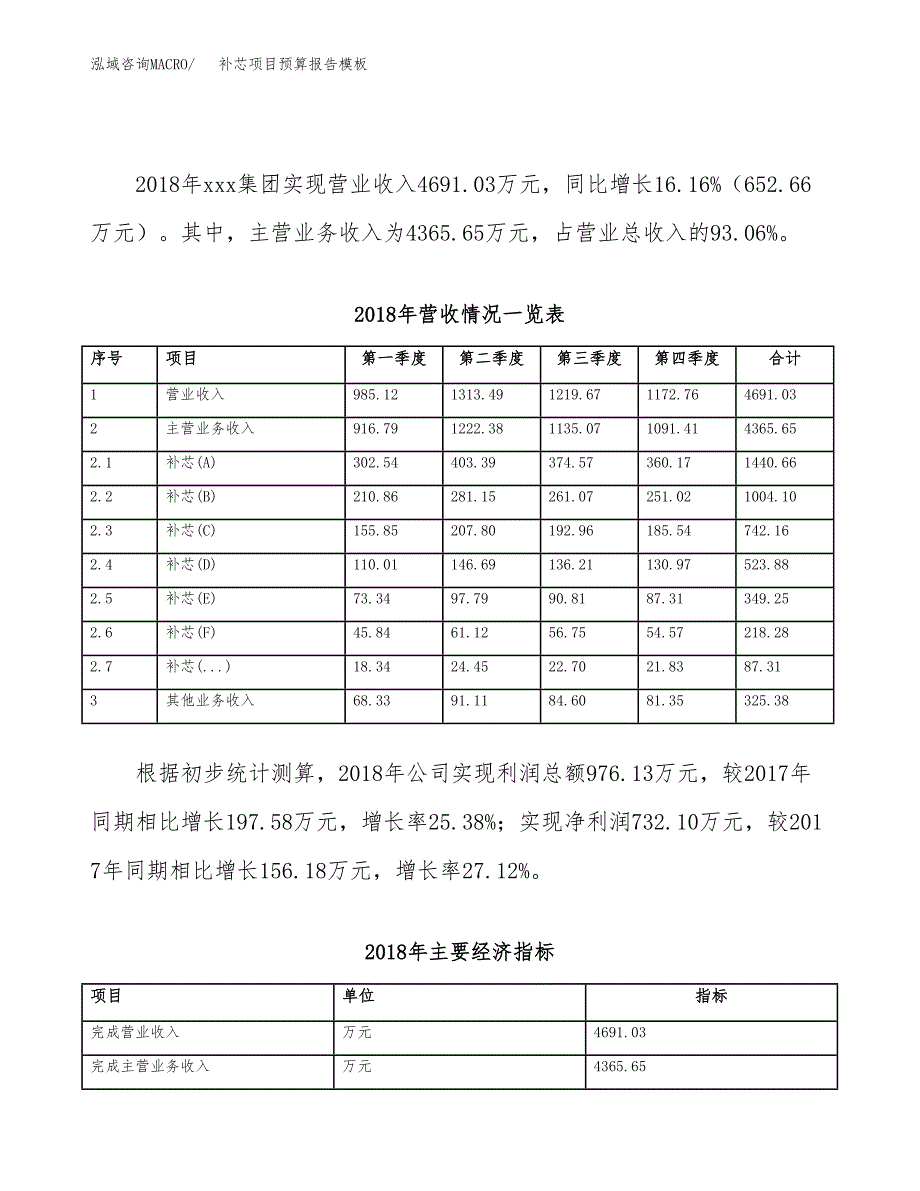 补芯项目预算报告模板.docx_第3页