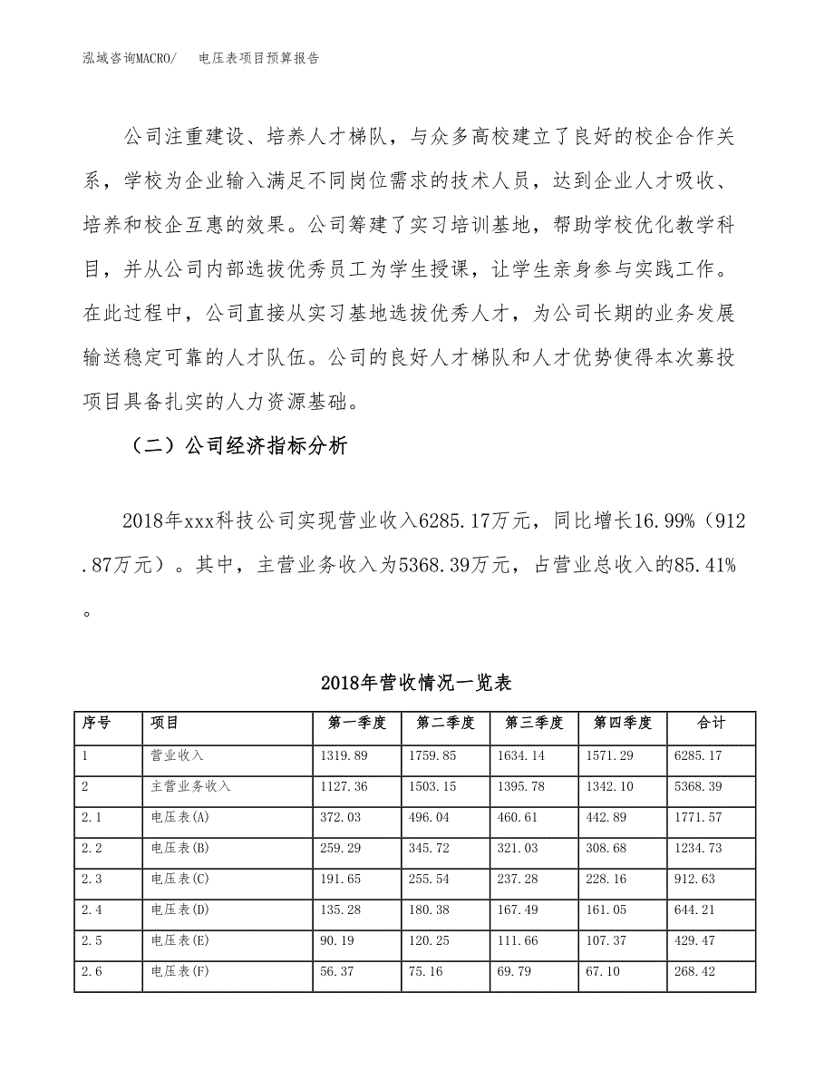 电压表项目预算报告（总投资4000万元）.docx_第3页