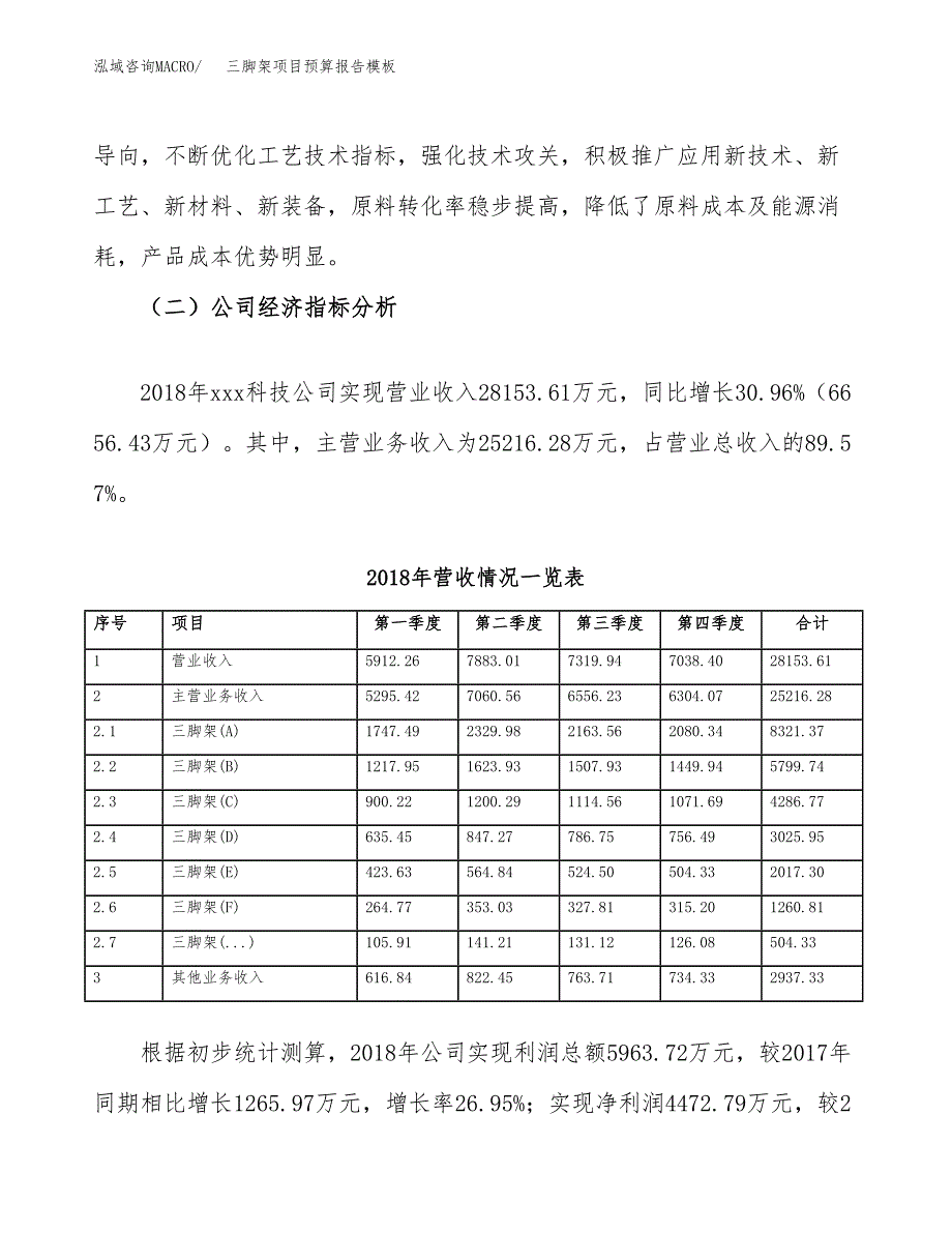 三脚架项目预算报告模板.docx_第3页