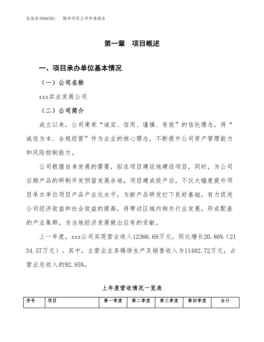 锡饼项目立项申请报告（总投资14000万元）_第2页