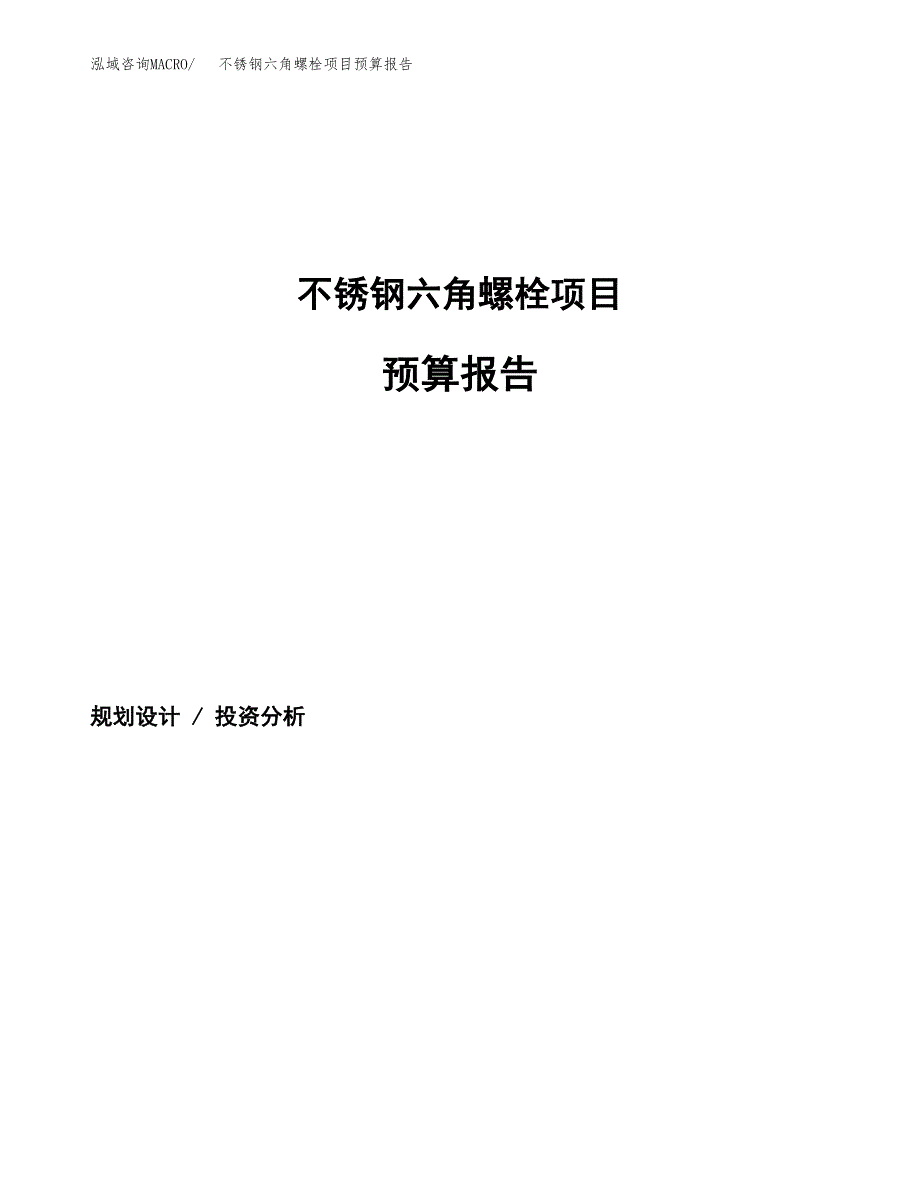 不锈钢六角螺栓项目预算报告（总投资21000万元）.docx_第1页