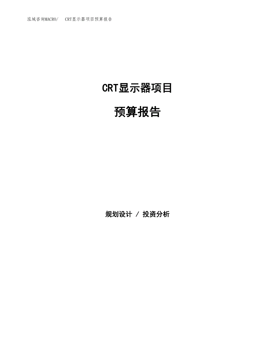 CRT显示器项目预算报告（总投资11000万元）.docx_第1页