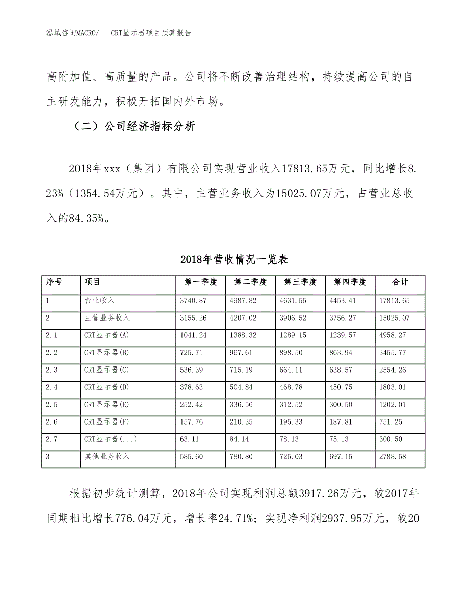 CRT显示器项目预算报告（总投资11000万元）.docx_第3页