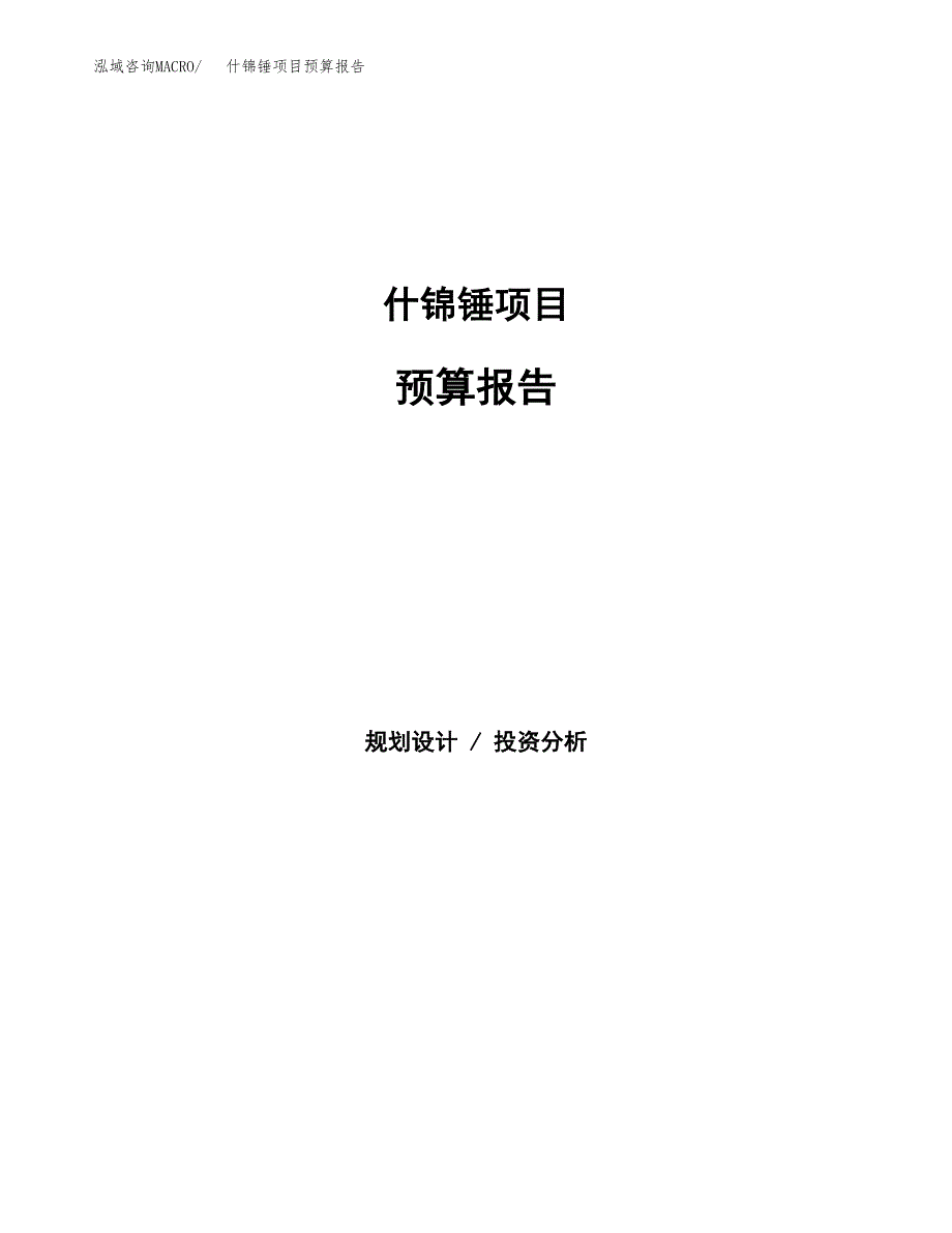 什锦锤项目预算报告（总投资2000万元）.docx_第1页