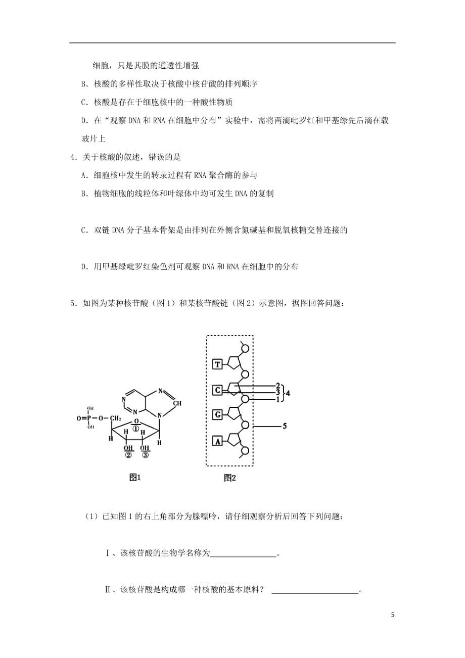 课标通用2017高考生物考点一遍过第1辑考点4细胞中的核酸201708171_第5页