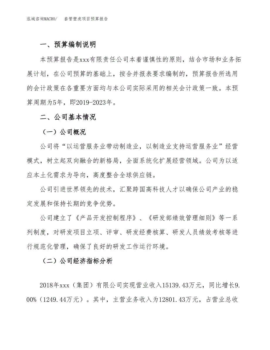 套管壁虎项目预算报告（总投资11000万元）.docx_第2页