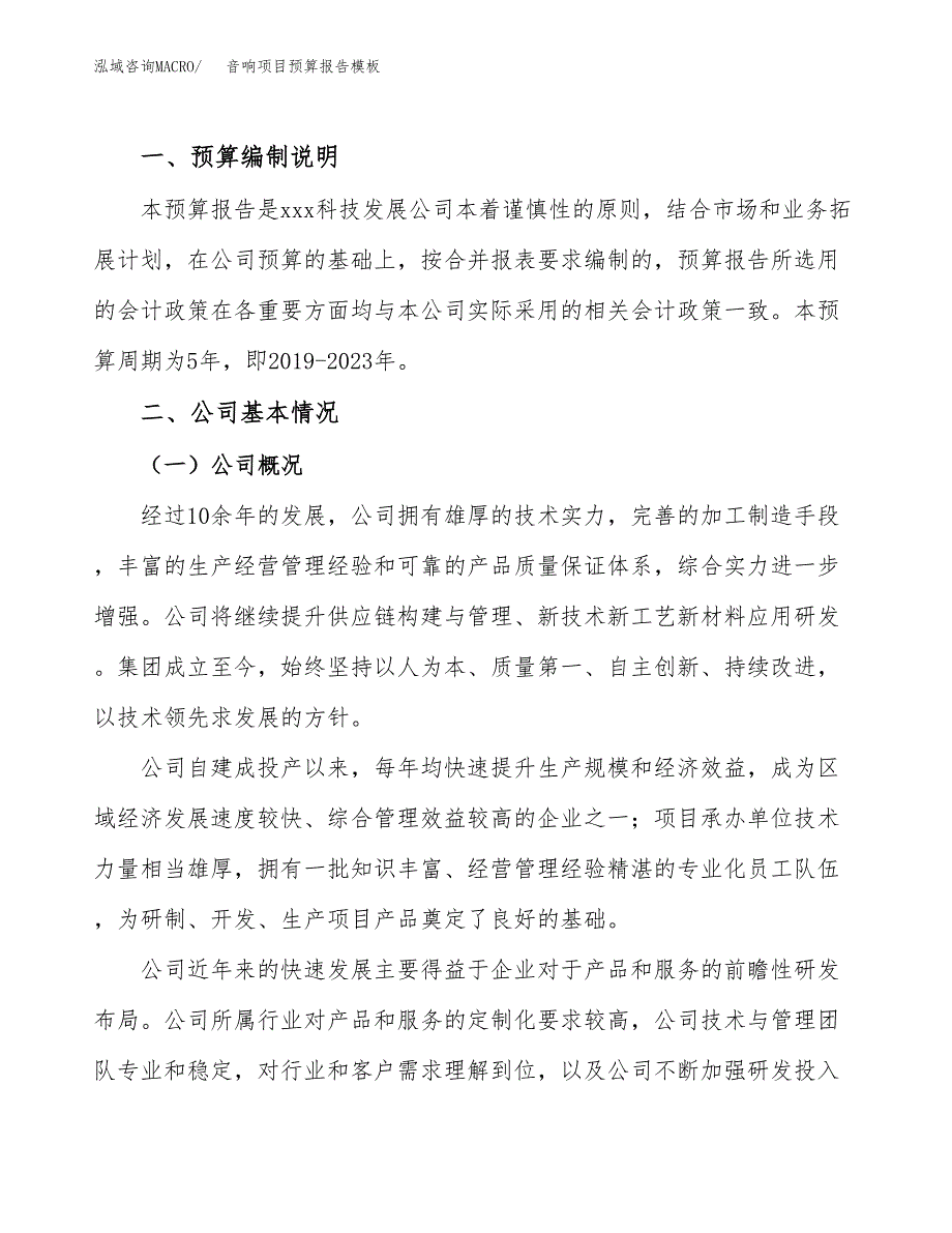 音响项目预算报告模板.docx_第2页