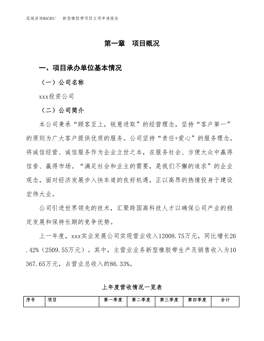 新型橡胶带项目立项申请报告（总投资10000万元）_第2页