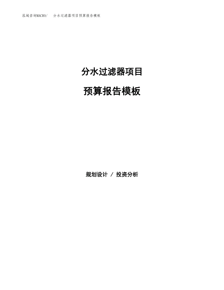 分水过滤器项目预算报告模板.docx_第1页