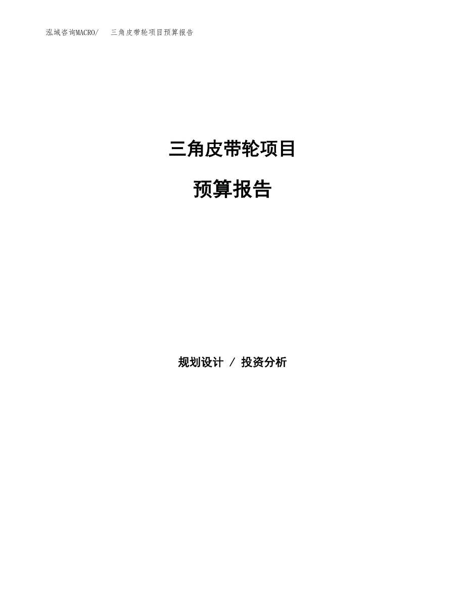 三角皮带轮项目预算报告（总投资19000万元）.docx_第1页