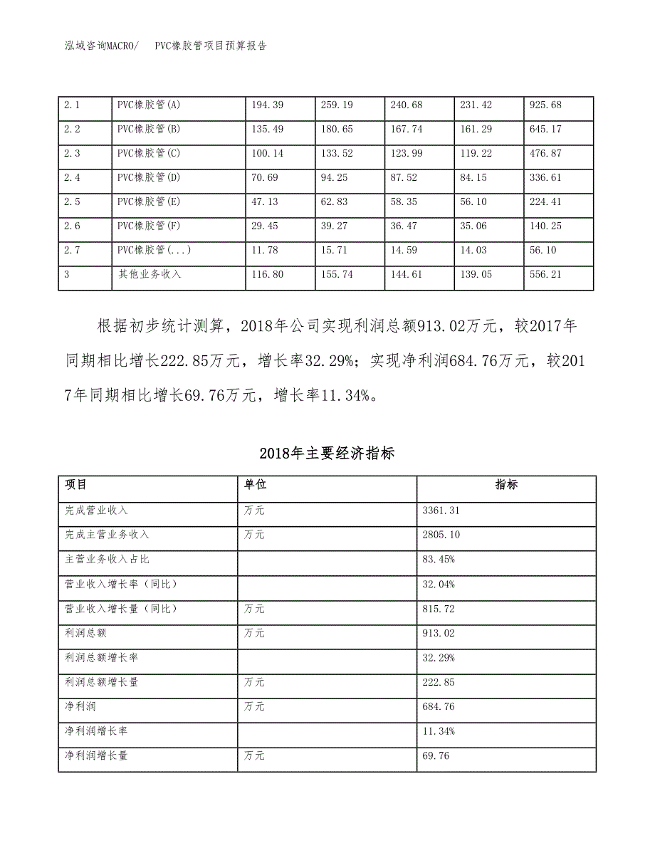 PVC橡胶管项目预算报告（总投资3000万元）.docx_第4页