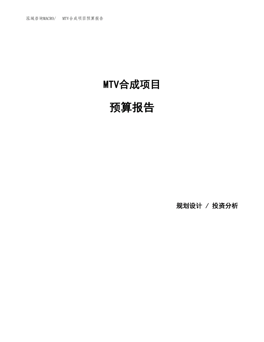 MTV合成项目预算报告（总投资10000万元）.docx_第1页