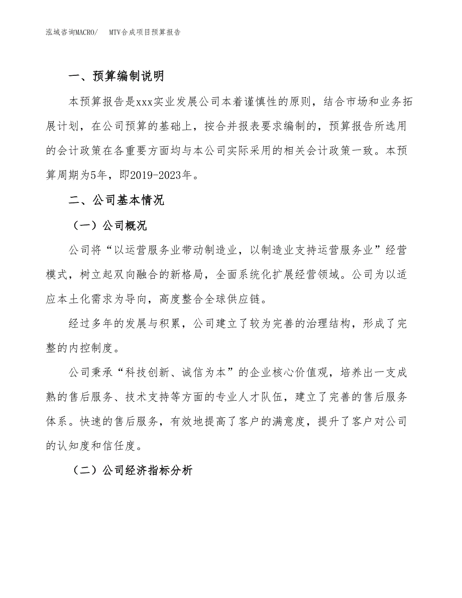 MTV合成项目预算报告（总投资10000万元）.docx_第2页