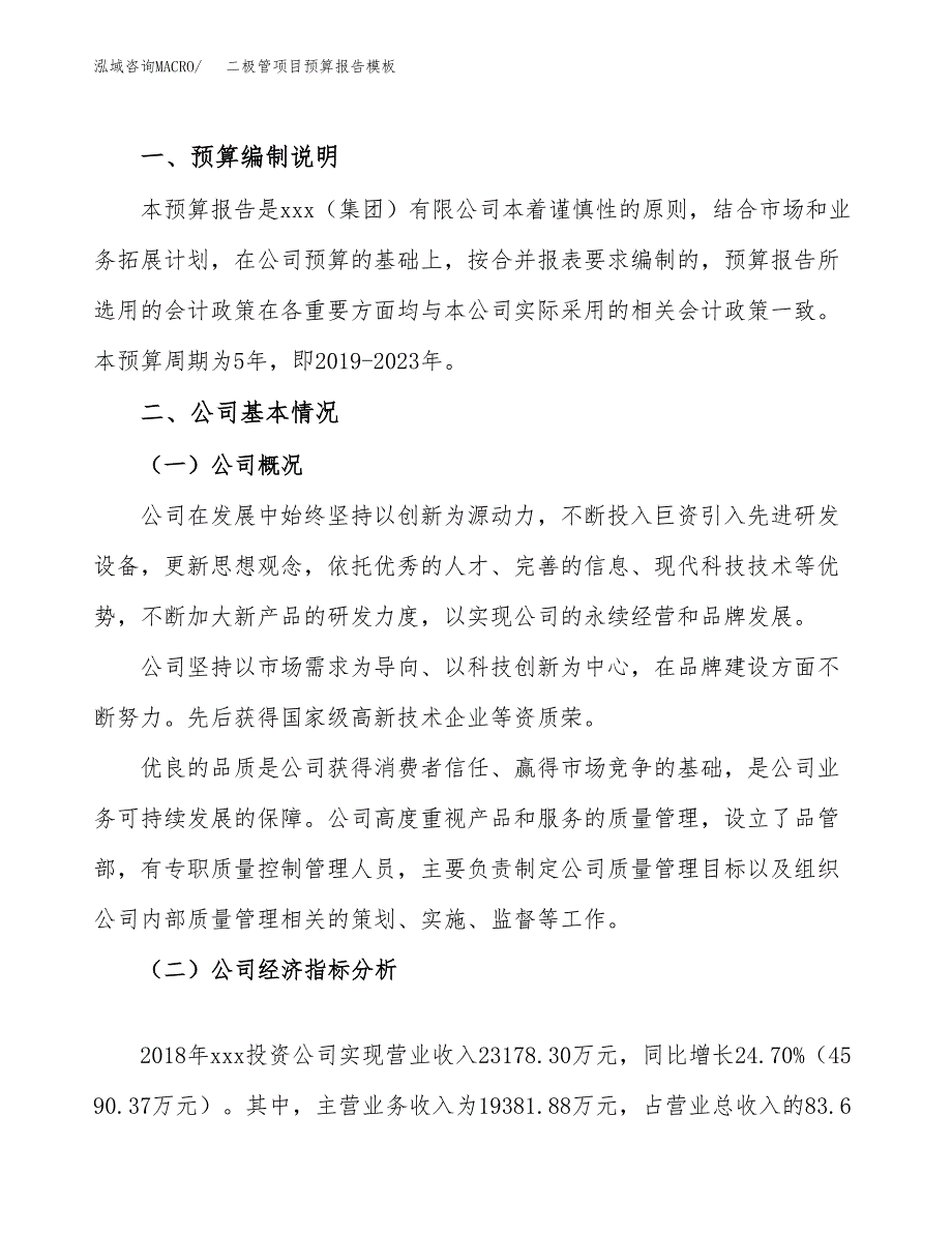 二极管项目预算报告模板.docx_第2页