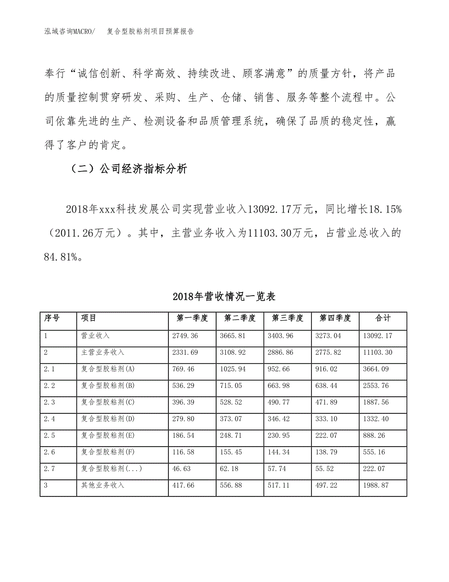 复合型胶粘剂项目预算报告（总投资10000万元）.docx_第3页